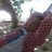 Adjie317Km's profile image