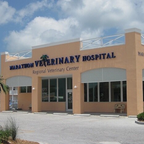 To provide the best possible veterinary care to all animals of the Florida Keys.