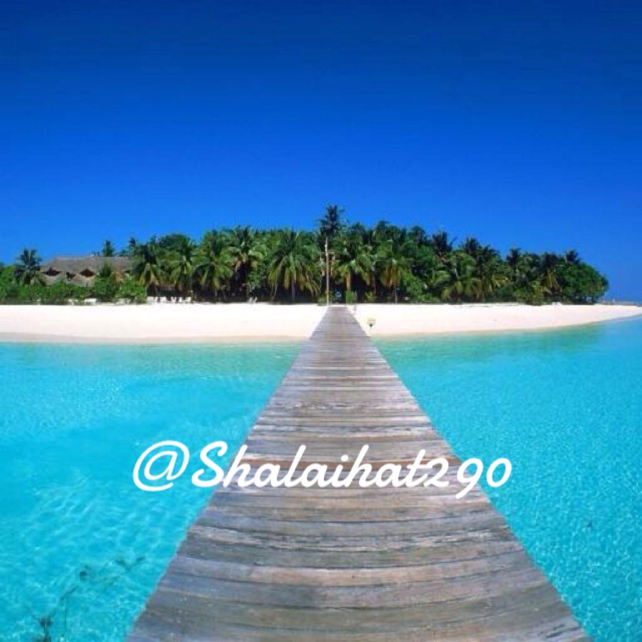 New acc/. . .Sometimes you must let go and dare to do it because life is too short to wonder what could have been. Kik? Shalaihat290  snapchat? Shalaihat290