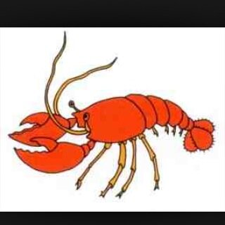 Pinchey1964's profile picture. 