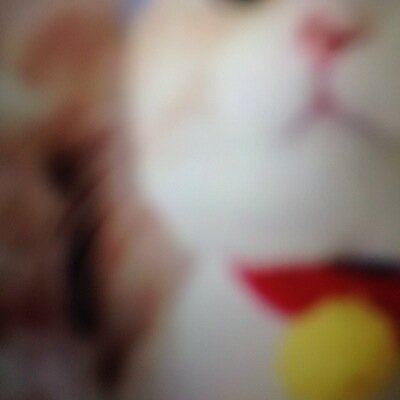 大人のオモチャでイカされたい女性DM待ってマス！