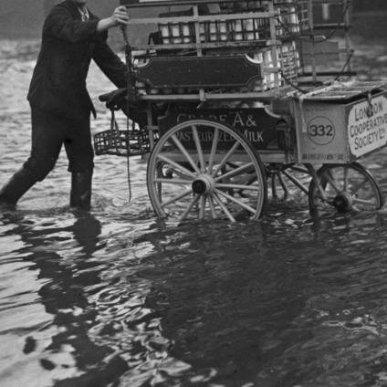 KarskiKa's profile picture. “I took a deep breath and listened to the old brag of my heart. I am, I am, I am.” 
― Sylvia Plath, The Bell Jar