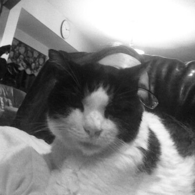 lovekakoem's profile picture. 