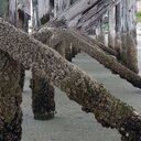 Steve Hussey - @husey_steve - Twitter