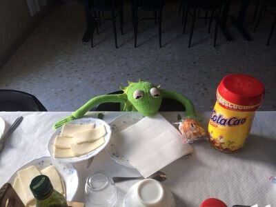 pedagogía. terapeuta familiar. entusiasta pet iniciar reptes.