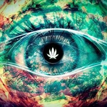 DMT is my name for short, i'm 22 live in Gebs WI. My likes are politics social activitys smoking writing notes and music. A home body liking small LUX feelings