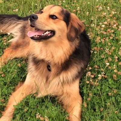 itsbadform's profile picture. ✨People are going to tell you who you are your whole life. You've just got to punch back and say, No, this is who I am.✨ - Emma Swan