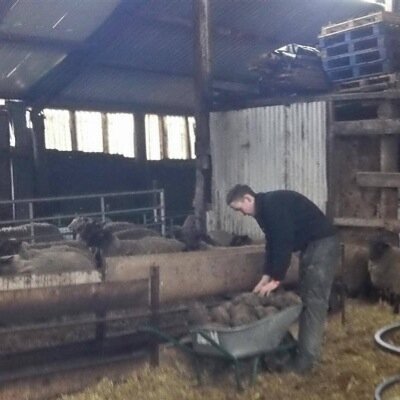 I am 16 years and Is a stock manger at Skellorn green farm and will be getting my own sheep! fb Dan miller