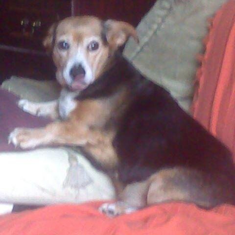 nicolamurdin's profile picture. 