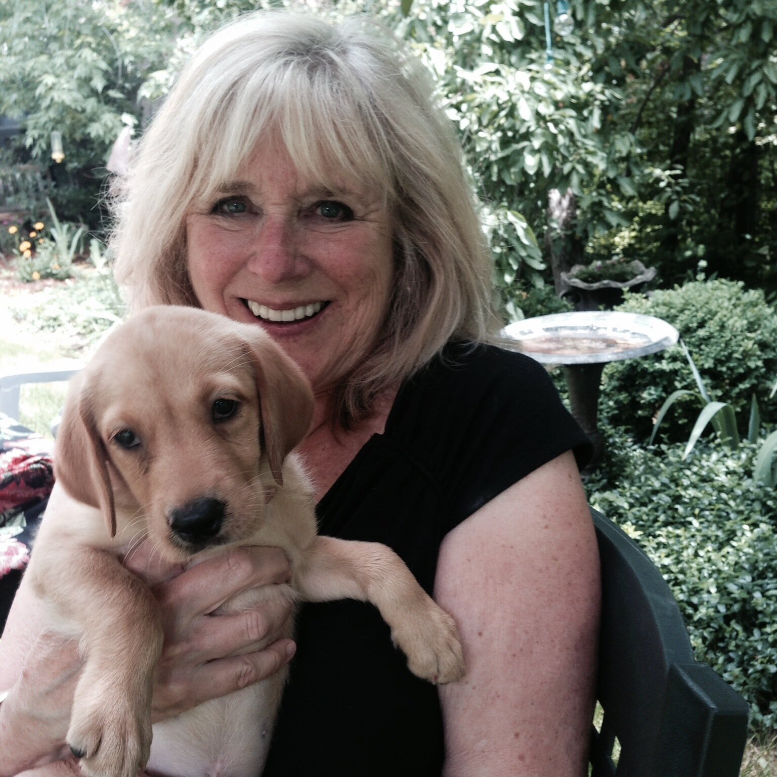 CrystalBoulder's profile picture. 