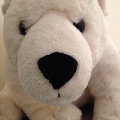 Janice Brownsill Profile