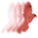 Mel Armstrong - @melcardinal - Twitter