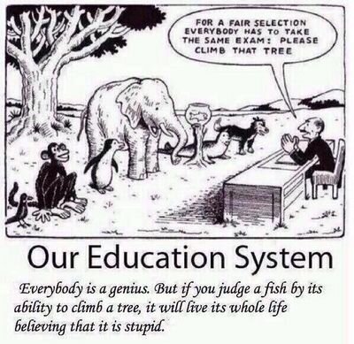 manwithnovan's profile picture. Let me enjoy my mid life crisis hmmm ;-)