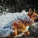 Brad Sargent - @thepsaw - Twitter