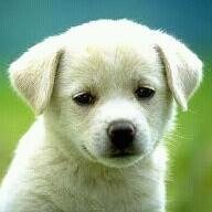 Musgo16's profile picture. Happy♡♥