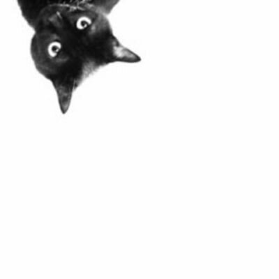 7Nan300's profile picture. استغفرالله واتووب اليه .