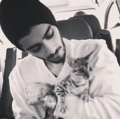 zayn meteu liam gemeu e aqui estou eu