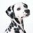hiromitsu_c3's profile image