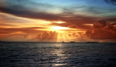 ygzz1905's profile picture. 