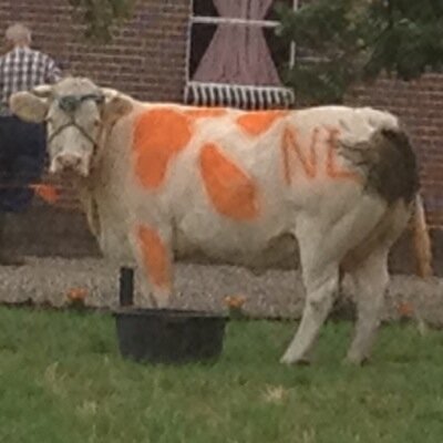 SandraSpies2's profile picture. 