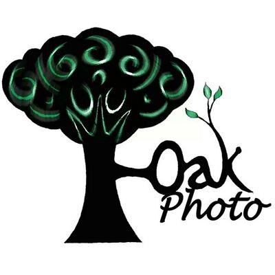 Steve Whiteoak.  Family, commercial, modelling, automotive and event photography, County Durham based. Studio for hire. Fully insured. Established 2014.