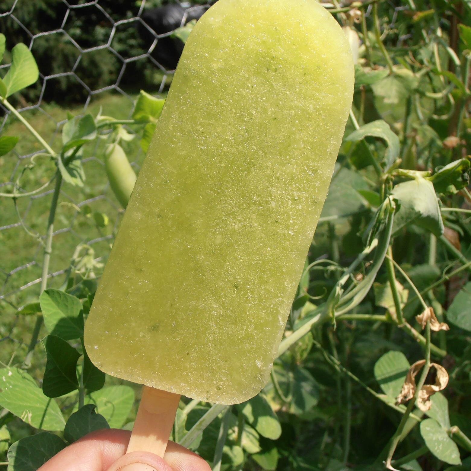 TheBananaBike's profile picture. Banana Bike is offering Organic Fair Trade Non Gmo Frozen Banana Treats and no sweetner added fruit bars to Clintonville.