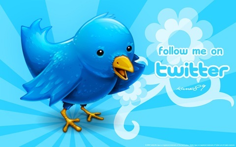 Osseguidores's profile picture. 