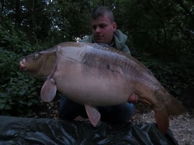 Louwrenstb's profile picture. Gediplomeerd karpervisser~gediplomeerd schilder~urk