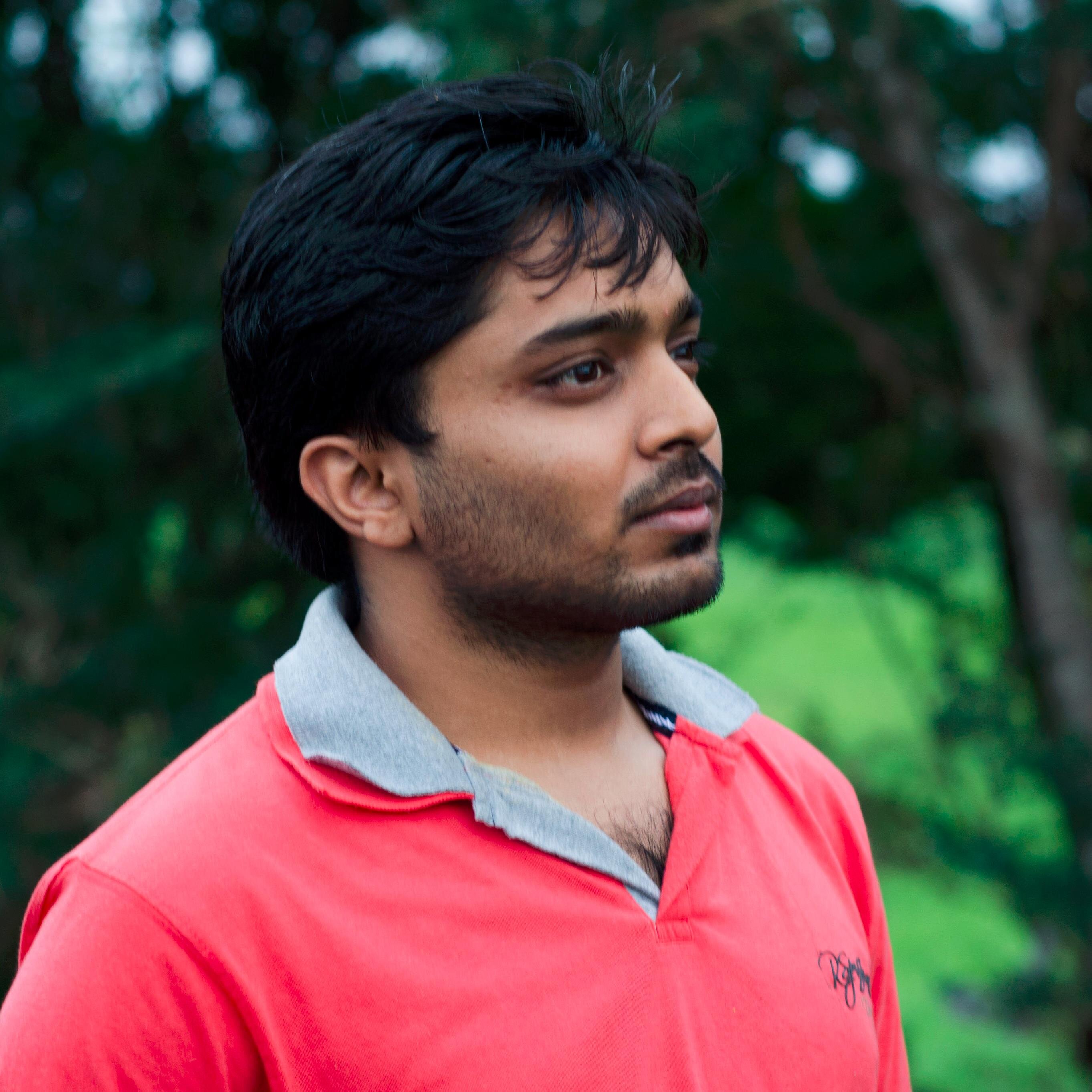 Software Developer