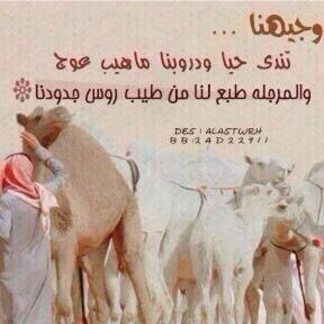 سبحان الله وبحمده، سبحان الله العظيم.