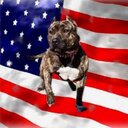 Rick Spencer - @ras_spencer - Twitter