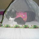 martha toro - @feldapa582 - Twitter