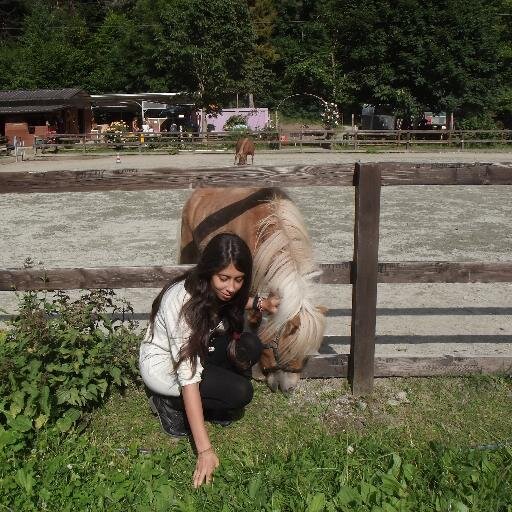 Ed Sheerαn αnd my iPαd.
I ℓike тσ ride unicσrns вuт horses тσσ.