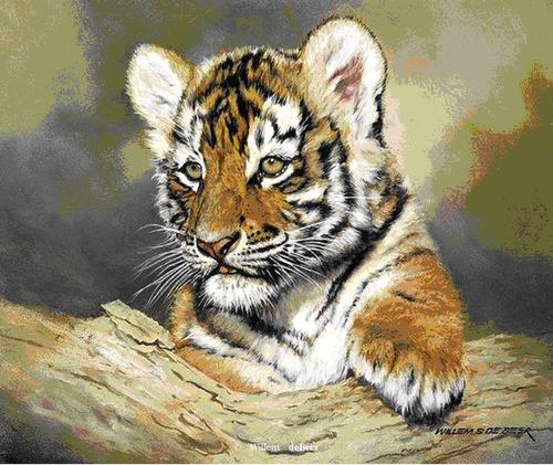 suneelchalapaka's profile picture. 