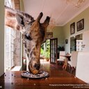 Edwin Lind - @Edwin_Lind - Twitter