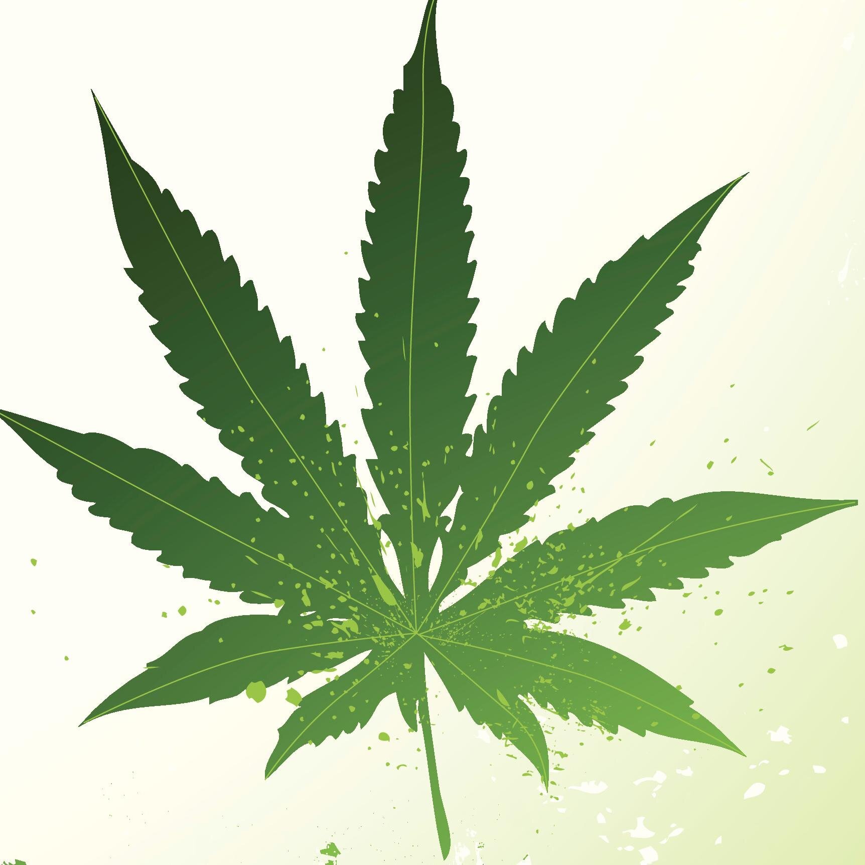 Florida's premier source for cannabis news, information, and events.