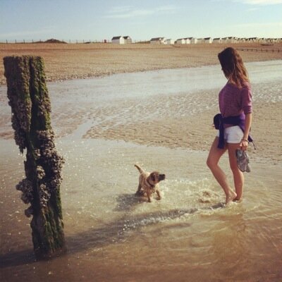 AbiRutter's profile picture. 