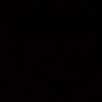 Shadow DOM (@_shadowdom) 's Twitter Profile