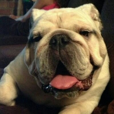 rcastro5280's profile picture. 