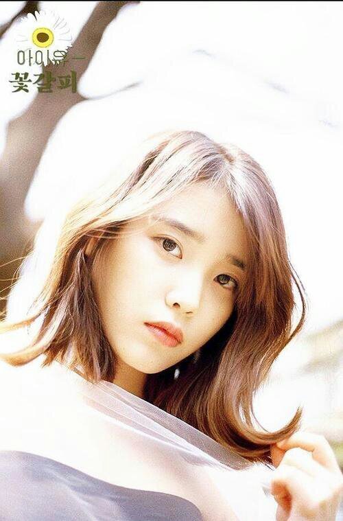 soloist 이 지은