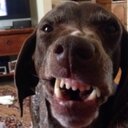 Kathy Peyton - @GermanKatgerman - Twitter