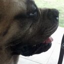 Martin Molnar - @MartinMolnar_Ar - Twitter