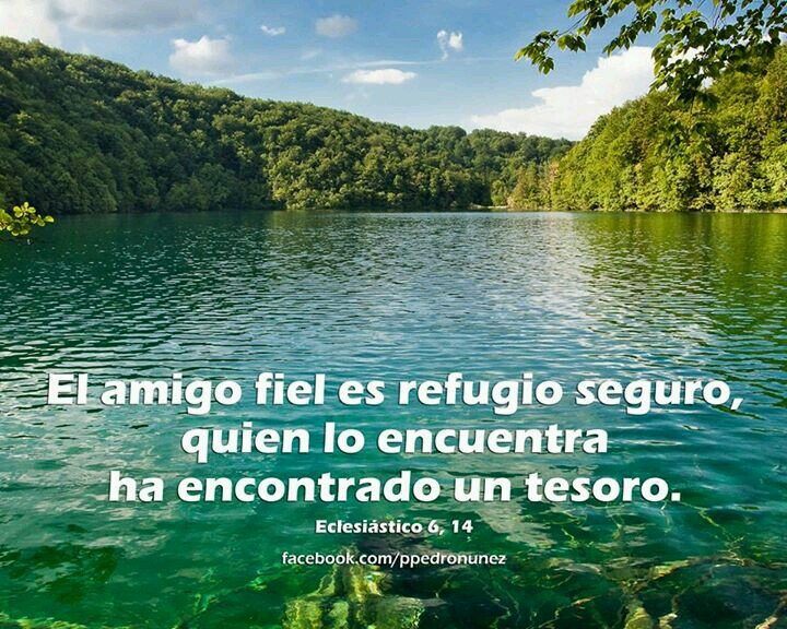 vive Apure
