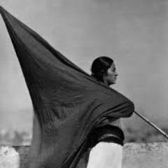 Stelzmar's profile picture. ?!comunicatrice sociale di conflitti politici o viceversa?! Instacabile ricercatrice di bios  in fluida trasformazione.. e naturalmente postfemminista!