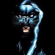 SVE_HS15's profile picture. Official page of Spencer-Van Etten's High School Student Council