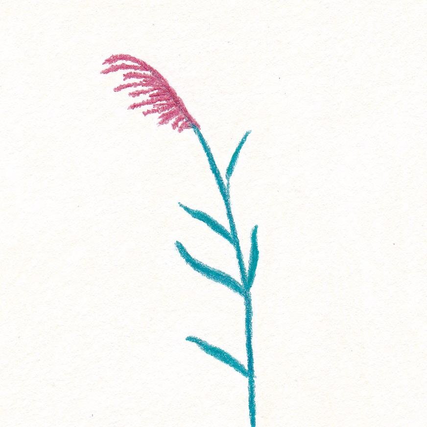 ApolliR's profile picture. illustration & lifestyle    ...............................
Slow Fashion, Organisation, Mode éthique, Conso (plus) responsable, Désencombrement
Maman 👩👧