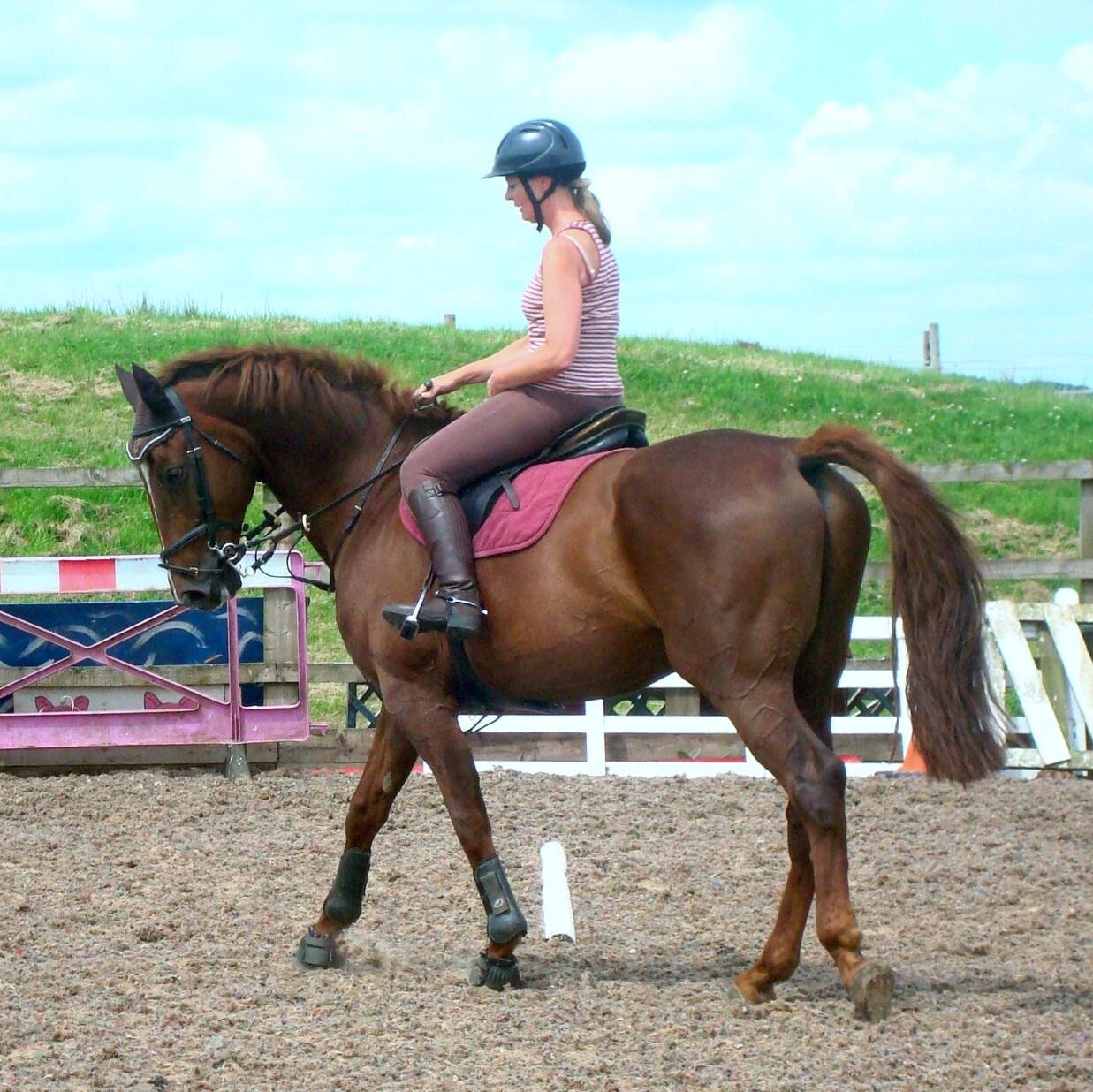 JoJohspreng's profile picture. s