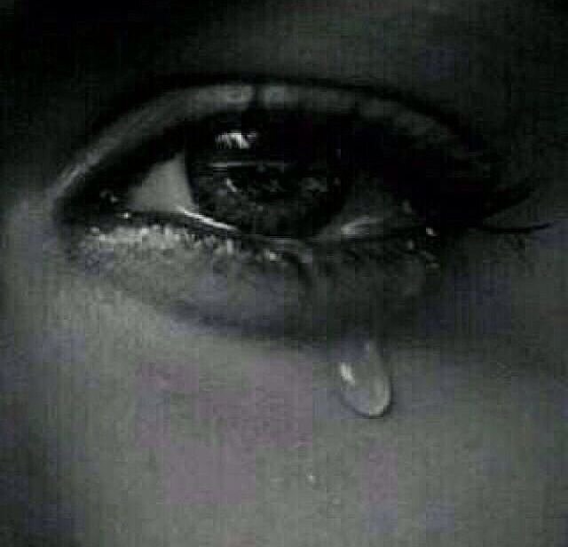 HaaaHam's profile picture. أتيت إلى تويتر لمشاركة أهل العقول في عقولها ،أتعلم منكم وتتعلمون مني ...