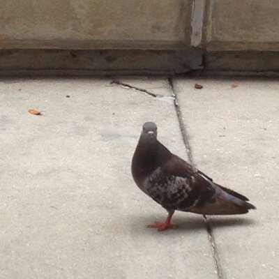 musicbysonder's profile picture. We are a band. @yuebang @ahallison @hannahosoriooo