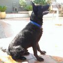 Noel Serrano - @noelserrano95 - Twitter